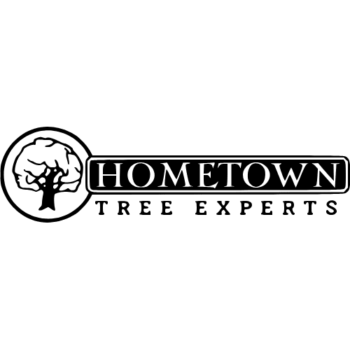 HomeTown Tree Experts